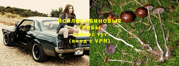 ГАЛЛЮЦИНОГЕННЫЕ ГРИБЫ Семёнов