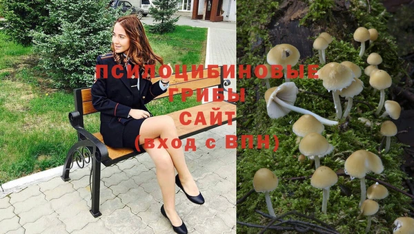 jwh Семилуки