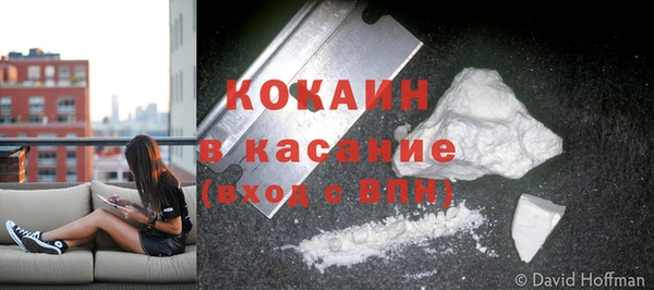 ГАЛЛЮЦИНОГЕННЫЕ ГРИБЫ Семёнов