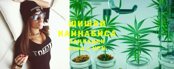 ГАЛЛЮЦИНОГЕННЫЕ ГРИБЫ Семёнов
