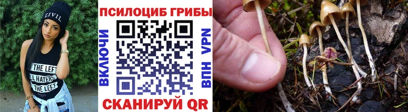Псилоцибиновые грибы MAGIC MUSHROOMS  Чкаловск 
